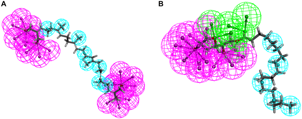 Pharmacophore predictions using 3D-QSAR. (A) ZINC000040976869: Blue represents hydrophobic center and purple represents hydrogen donor. (B) ZINC000004096987: Green represents hydrogen acceptor, blue represents hydrophobic center and purple represents hydrogen donor.