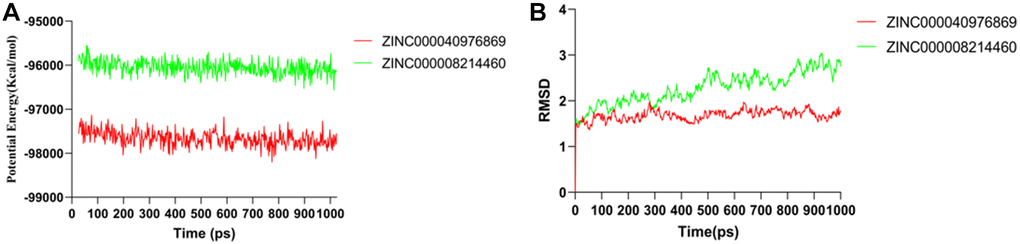 Results of molecular dynamics simulation of two complexes. (A) Potential energy; (B) Average backbone RMSD.