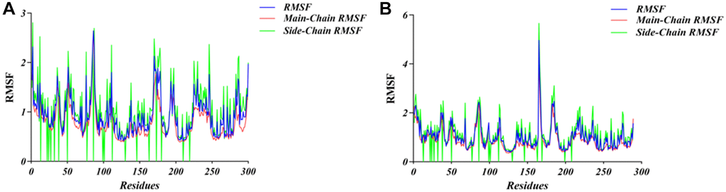 RMSF trajectories of the system during molecular dynamics simulation. (A) ZINC000040976869-TNIK complex. (B) ZINC000008214460-TNIK complex.