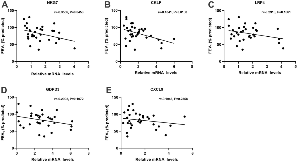 The association analysis between the critical aging-related DEGs and lung function in COPD patients. The lung function was negatively associated with (A) NKG7 expression and (B) CKLF expression, whereas no significant associations with the expressions of (C) LRP4, (D) GOPD3 and (E) CXCL9. DEGs, differently expressed genes; COPD, chronic obstructive pulmonary disease; FEV1 (% predicted), forced expiratory volume in 1 s (FEV1) % predicted; NKG7, natural killer cell granule protein 7; CKLF, chemokine like factor; LRP4, LDL receptor related protein 4; GDPD3, glycerophosphodiester phosphodiesterase domain containing 3; CXCL9, C-X-C motif chemokine ligand 9.