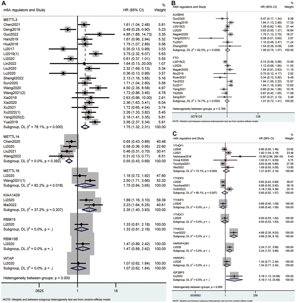 Forest plots for the association of m6A writers (A), erasers (B) and readers (C) with OS in cancer patients.