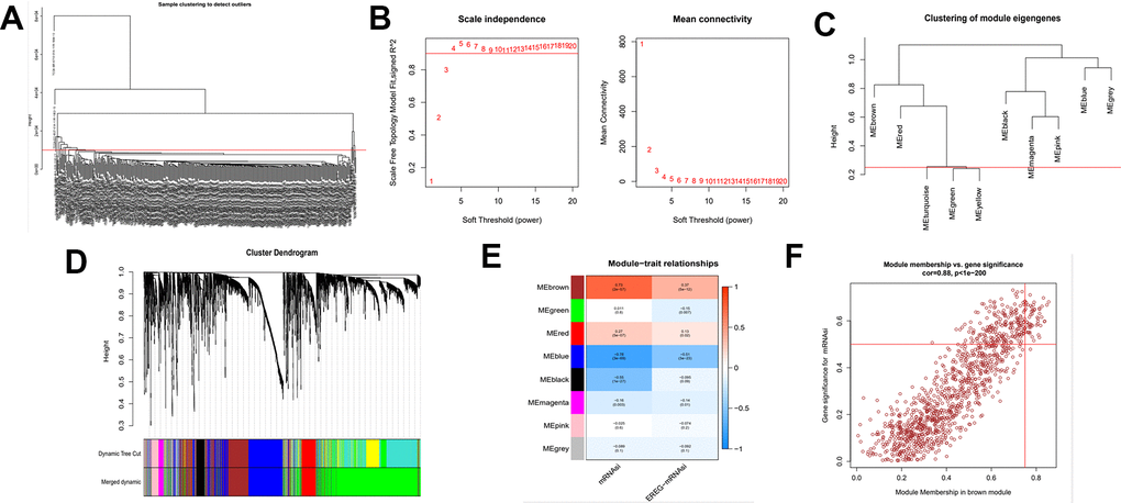 Identification of cancer stem cell index-related modules by WGCNA. (A) Samples above the red line were removed because they were considered as the deflection of gene expression. (B) This represents the correlation coefficient R2 and mean connectivity in the scale-free network. (C) Calculate similarity between modules and merge modules with high similarity. (D) Hierarchical clustering of gene modules. (E) Heatmap of the correlationship between gene modules and cancer stemness index. (F) Scatter plot of maximum positive correlation with cancer stem cell index (mRNAsi).