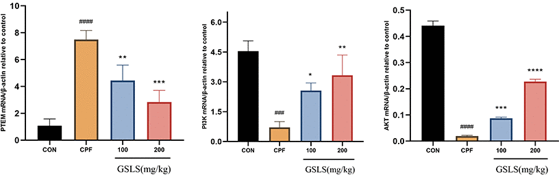 The mRNA expression levels of indicators in the mitochondrial apoptosis and PTEN/PI3K/AKT pathway under CPF and/or GSLS treatments in HT22 cells. Values are expressed as the means ± standard deviations (n = 3). #p ##p ###p ####p *p **p ***p ****p 