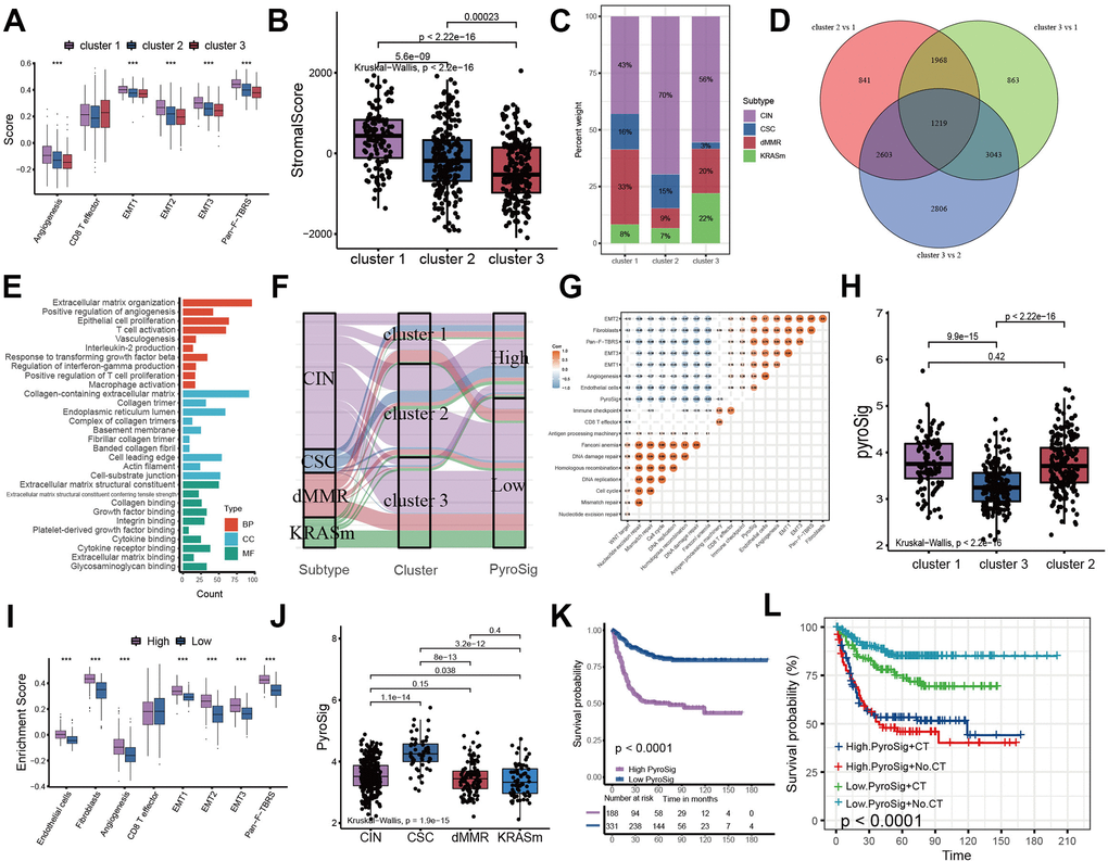 Construction of pyroptosis related score signature (PyroSig). (A) Variations between three distinct pyroptosis characterization clusters in pathways with stroma activation. (B) ESTIMATE algorithm analyses revealing the overall TME stromal score among three clusters. (C) The proportion of molecular subtypes in the three clusters. (D) The venn diagram showing 1219 overlap DEGs between three clusters. (E) GO functional enrichment analyses for overlap DEGs. (F) The changes of molecular subtypes, pyroptosis characterization clusters and PyroSig, visualized by alluvial diagram. (G) Spearman correlation between the known signatures and PyroSig values. (H) Differences in PyroSig signature across three distinct pyroptosis characterization clusters. (I) Difference of stromal signature between low and high PyroSig groups. (J) Differences in PyroSig across distinct molecular subtypes. (K) Kaplan-Meier curves showing the survival difference between the low and high PyroSig groups. (L) Survival analyses of four subgroups, where patients were stratified according to adjuvant chemotherapy.