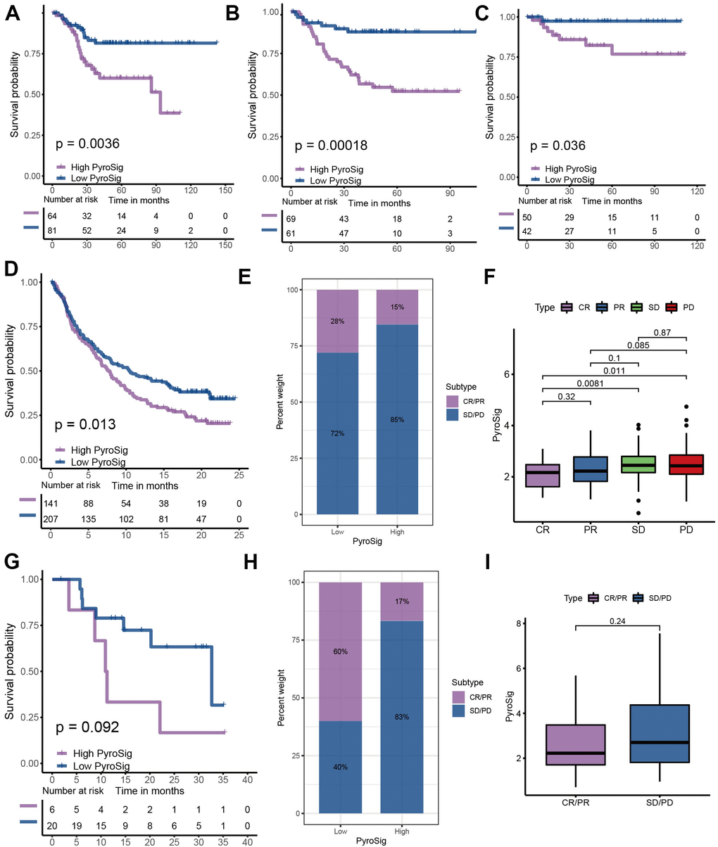 Role of PyroSig in predicting efficacy of immunotherapy. (A) Kaplan-Meier curves showing the survival analyses of high and low PyroSig groups in GSE17536 cohort. (B) Kaplan-Meier curves showing the survival analyses of high and low PyroSig groups in GSE37892 cohort. (C) Kaplan-Meier curves showing the survival analyses of high and low PyroSig groups in GSE38832 cohort. (D) Kaplan-Meier curves displaying the survival difference of high and low PyroSig groups in IMvigor210 cohort. (E) The ratio of clinical response types in high PyroSig and low PyroSig groups in the IMvigor210 cohort when treated with anti-PD-1 immunotherapy. (F) Differences in PyroSig between different clinical response types in the IMvigor210 cohort. (G) Survival analyses for PyroSig in GSE78220 anti-PD-1 immunotherapy cohort. (H) The ratio of clinical response types in high PyroSig and low PyroSig groups in the GSE78220 cohort when treated with anti-PD-1 immunotherapy. (I) Differences in PyroSig between different clinical response types in the GSE78220 cohort.