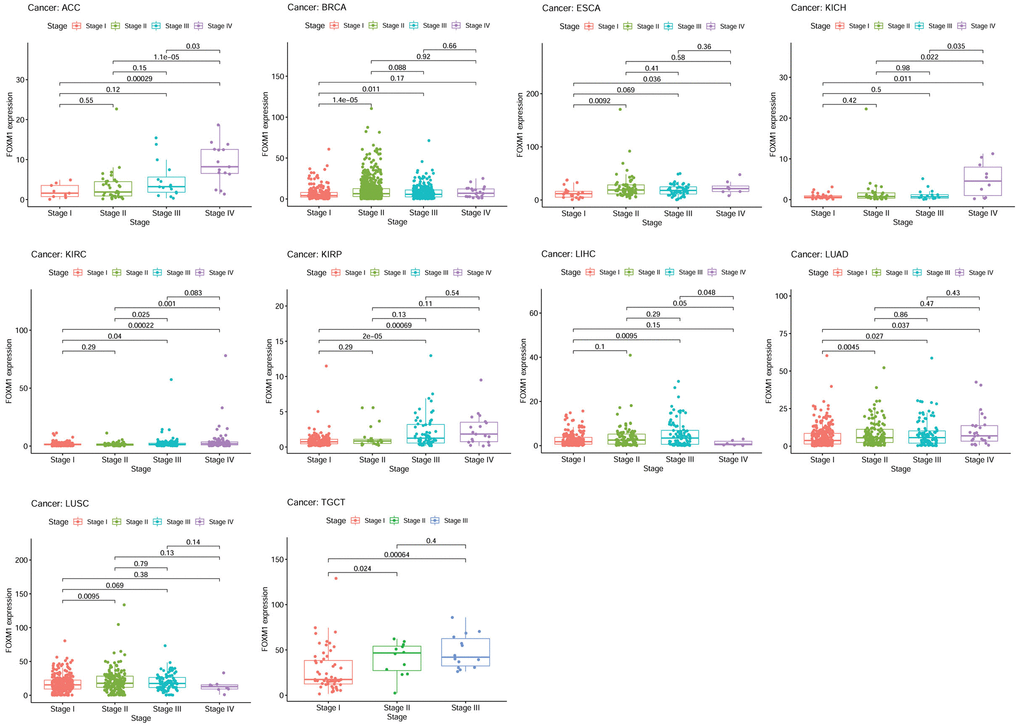 The association of FOXM1 expression with the pathological stages of cancers. p 