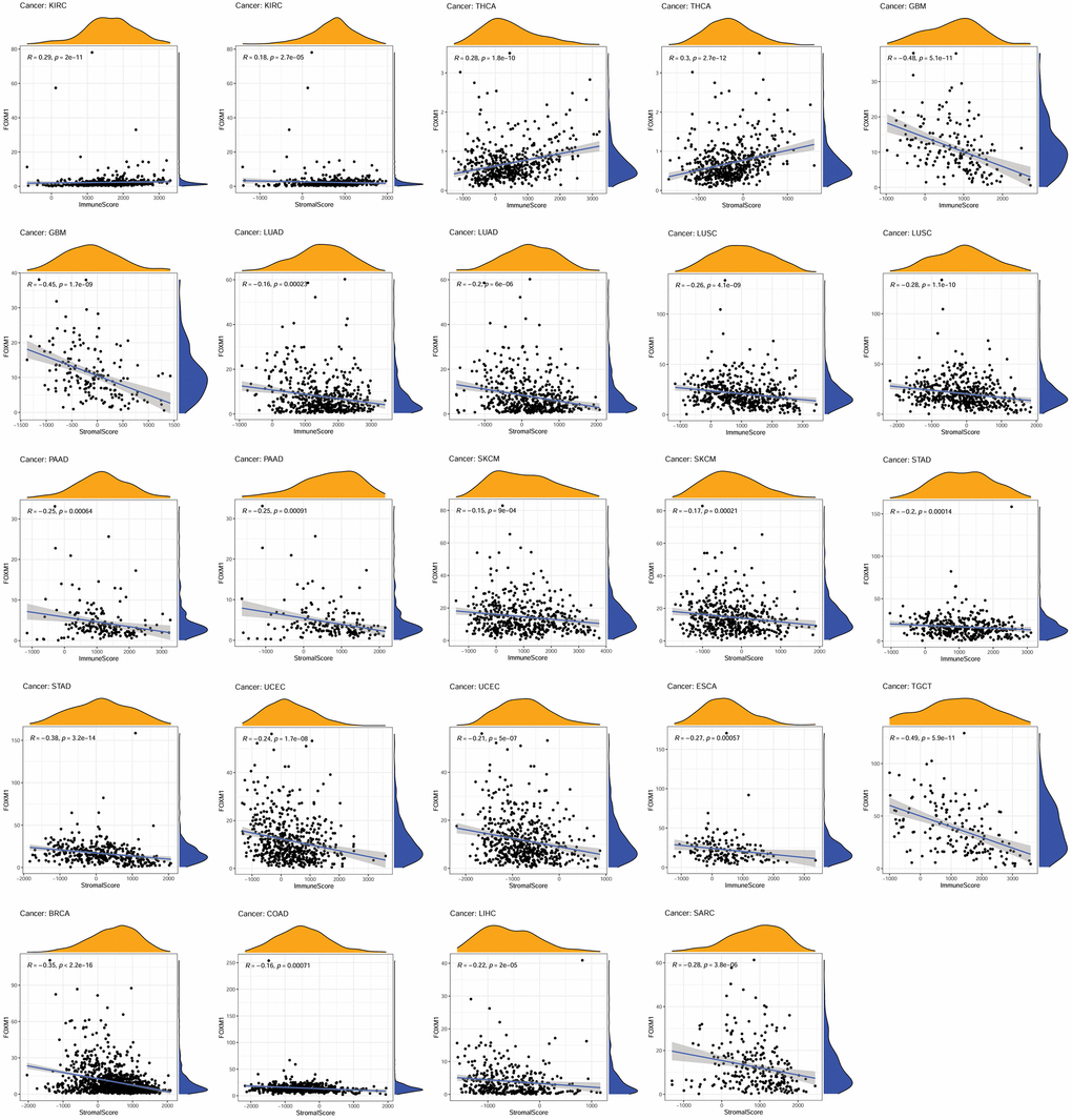 Association of FOXM1 expression with the immune score and stomal score. p p 