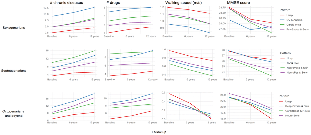 Longitudinal trends (predicted values from linear mixed models) in clinical and functional characteristics associated with the multimorbidity patterns by age group (N=3,363). Sexagenarians: Unspecific (Unsp); Cardiovascular and anemia (CV and Anemia); Cardio-metabolic (Cardio-Meta) and Psychiatric-endocrine and sensorial (Psy-Endoc and Sens). Septuagenarians: Unspecific (Unsp); Cardiovascular and diabetes (CV and Diab); Neuro-vascular and skin-sensorial (NeuroVasc and Skin); and Neuro-psychiatric and sensorial (NeuroPsy and Sens). Octogenarians and beyond: Unspecific (Unsp); Respiratory-circulatory and skin (Resp-Circula and Skin); Cardio-respiratory and neurological (CardioResp and Neuro); and Neuro-sensorial (Neuro-Sens). MMSE: Mini Mental State Examination.