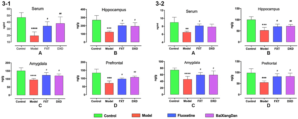 Changes in P and ALLO contents in serum and brain of rats at various stages of the estrous cycle. R represents the acceptance period, NR represents the non-acceptance period, (3-1) demonstrates changes in P content, and (3-2) shows changes to ALLO content, *p **p ***,#p ##p ##p 