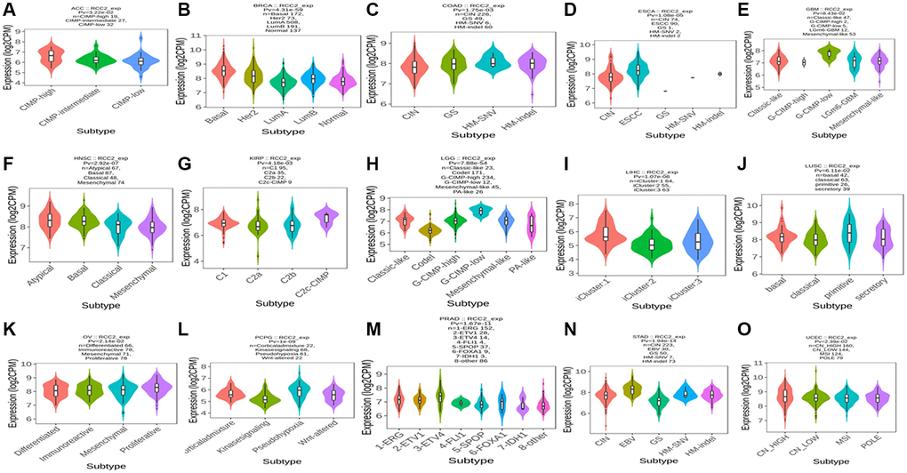 (A–O) The relationship between RCC2 expression and various tumor molecular subtypes.