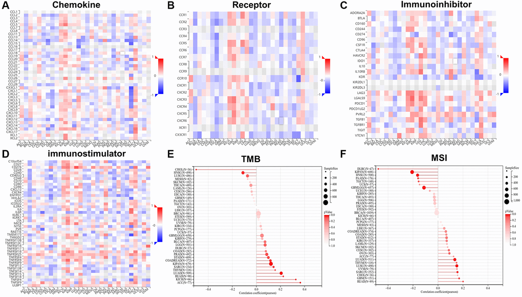 The relationship between RCC2 expression and chemokine (A), receptor (B), immunoinhibitors (C), immunostimulators (D), tumor mutation burden (TMB) (E) and microsatellite instability (MSI) (F).