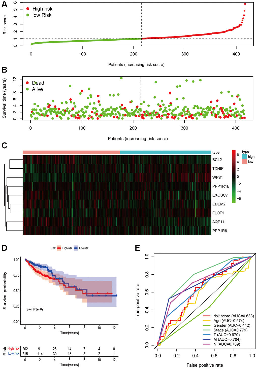 Verification of risk signature in the TCGA cohort. (A) The distribution of patients based on the risk score. (B) Survival time and survival status of patients with different risk scores. (C) The heatmap of the expression of prognostic ERSRGs in the high-group and low-risk group (D) Kaplan-Meier curve of survival probability of patients in the high-risk group and low-risk group. Statistical tests were performed using the Chi-square test with statistical significance at P E) ROC curve of risk score and other indicators.