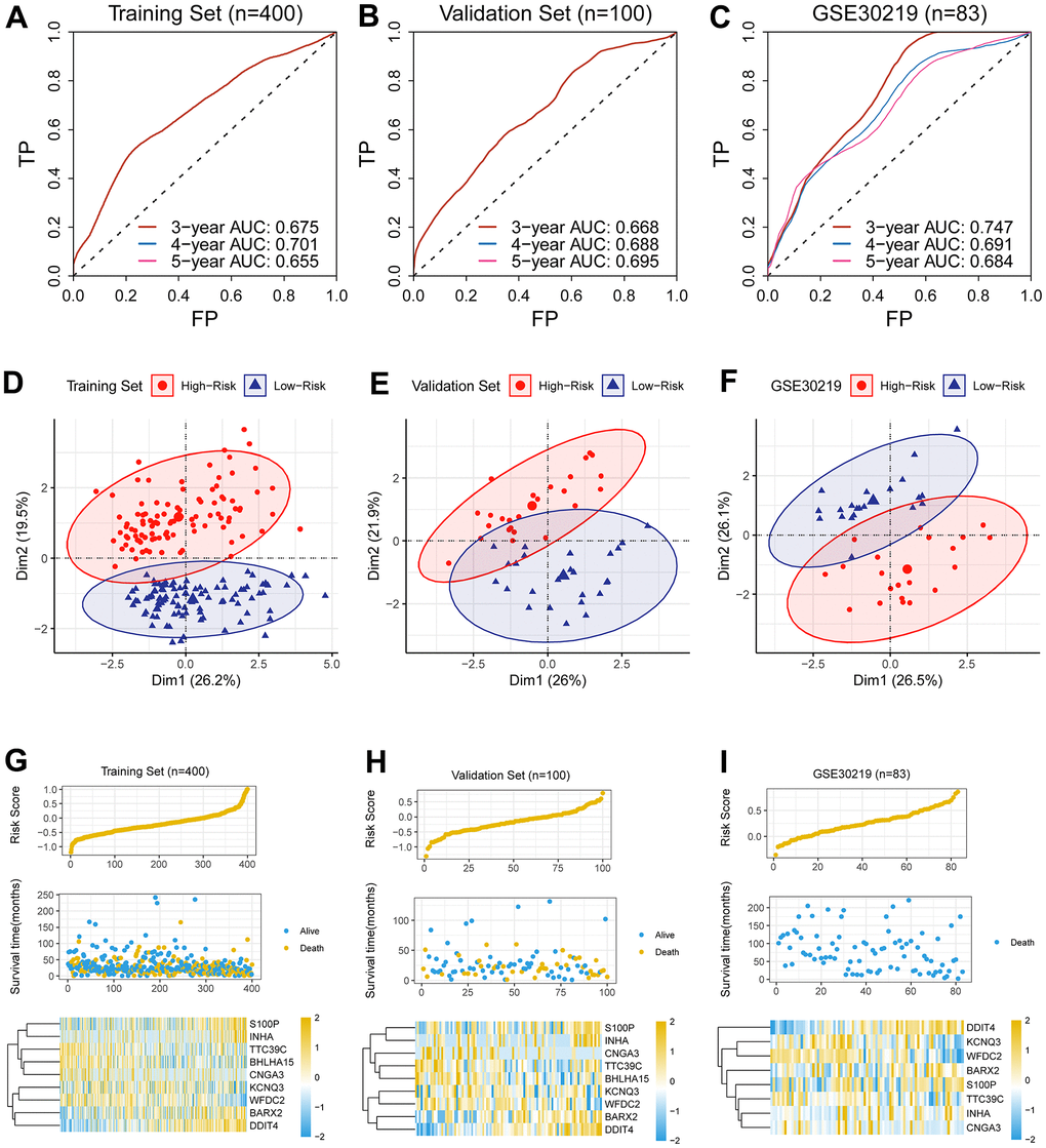 Assessment of predictive capability of the newly-established biomarker. (A–C) Three-year AUCs were 0.701, 0.688 and 0.691 in the discovery cohort, the validation cohort and GSE30219, respectively. (D–F) PCA analysis revealed that the low-risk group was apparently separated from its counterpart in dimensionality 1. (G–I) The hazard was linked to unwanted prognosis and high expression levels of four genes (BARX2, DDIT4, INHA, S100P) in the discovery cohort, the validation cohort and GSE30219.