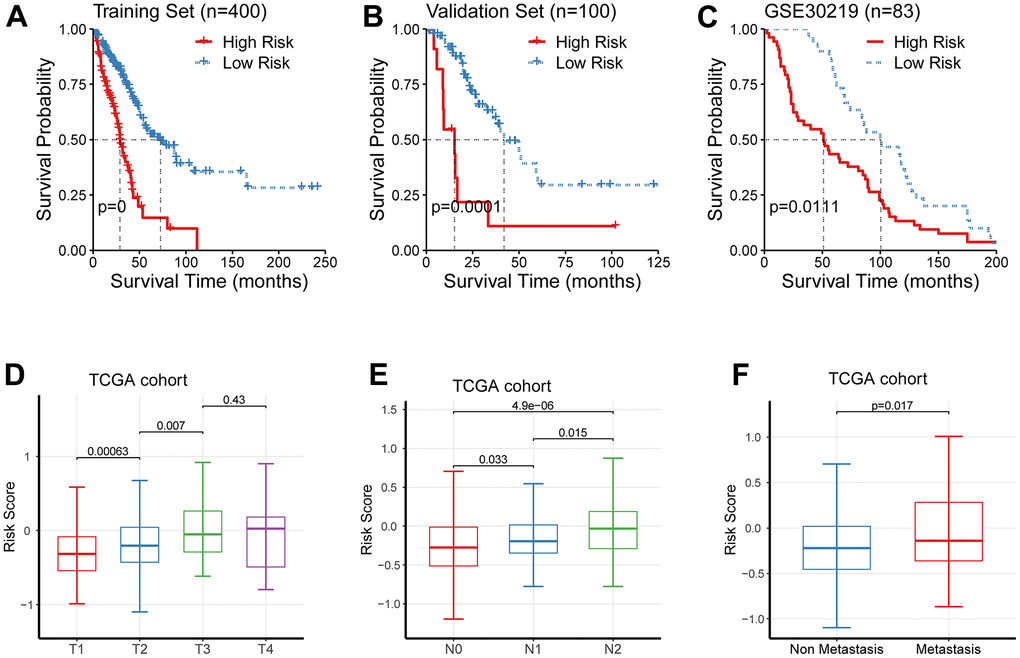 Clinical significance of the newly-established signature. (A–C) The low-risk cohort showed an improved prognosis than its counterpart in the discovery cohort, the validation cohort, and GSE30219. (D–F) The risk levels were significantly augmented in patients of higher TNM staging.