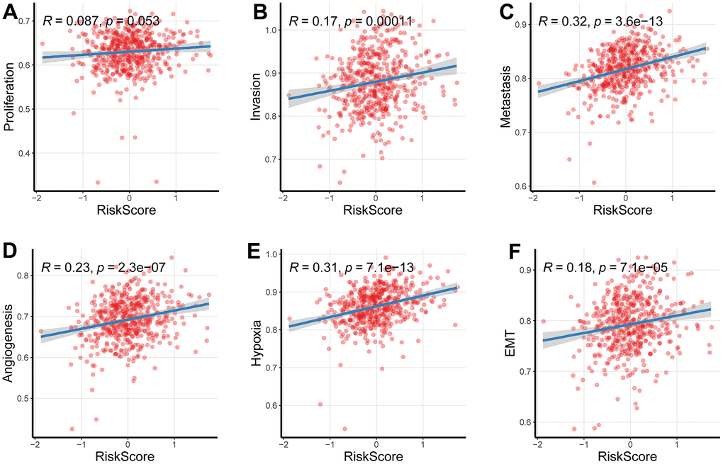 Relationship between the newly-established signature with cancer behaviors. (A–C) The signature was linked to these malignant tumor behaviors including invasion and metastasis, while its relationship with proliferation was comparatively weak. (D–F) The newly-established signature was implicated into the levels of hypoxia, EMT as well as angiogenesis (P 