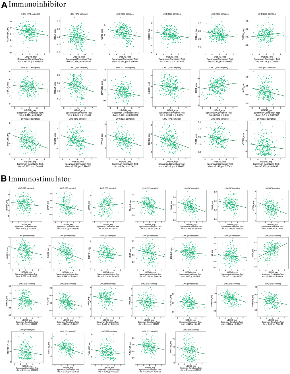 Correlation between UBE4B expression and immunomodulators in HCC by TISIDB database. (A) Immunoinhibitors, (B) immunostimulators.