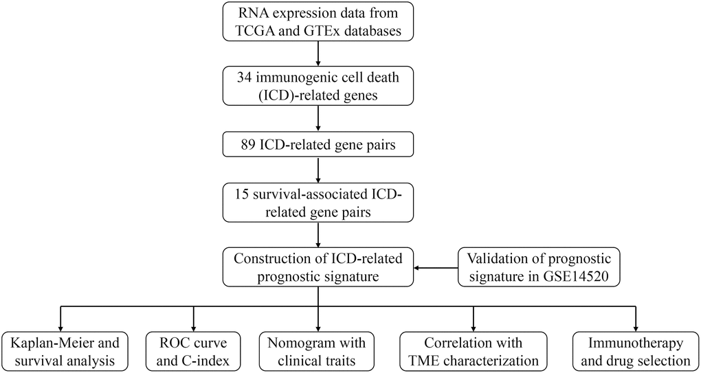 The flow chart of this study.