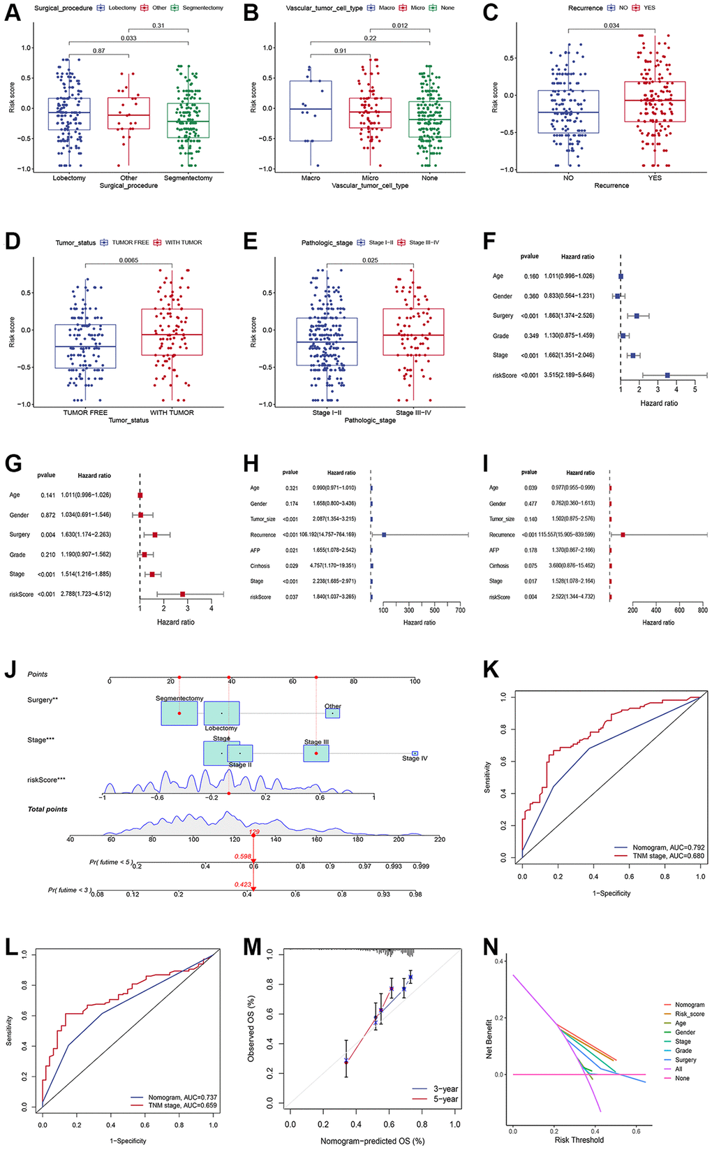 Generation and validation of a nomogram scoring system. (A–E) The relationship between the risk score, surgical procedure, vascular tumor cell type, recurrence status, tumor status, and stages. (F, G) Forest plots showing the results of the univariate (F) and multivariate (G) Cox analysis in the training set. (H, I) Forest plots showing the results of the univariate (H) and multivariate (I) Cox analysis in the validation set. (J) Nomogram predicting the 3-year and 5-year overall survival of HCC patients. (K, L) Comparison of the 3- (K) and 5-year AUC (L) of nomogram and TNM staging system. (M) The calibration plots of the nomogram at 3 and 5 years. (N) The DCA curves of the nomogram at 3 and 5 years.