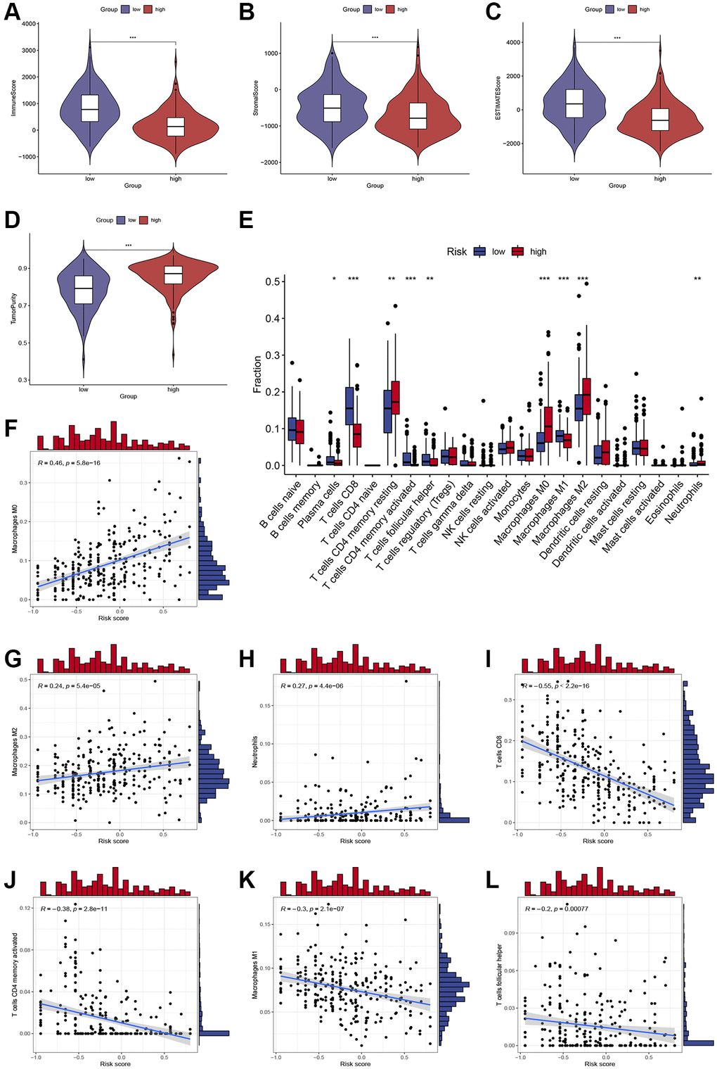 Assessment of immune cell infiltration and the immune microenvironment in different subgroups. (A–D) Differences in immune scores, stromal scores, and tumor purity between high-risk and low-risk groups. (E) Differences in immune cells infiltration between high-risk and low-risk groups. (F–L) Correlations between the risk score and immune cells infiltration. *, **, and *** represent p 