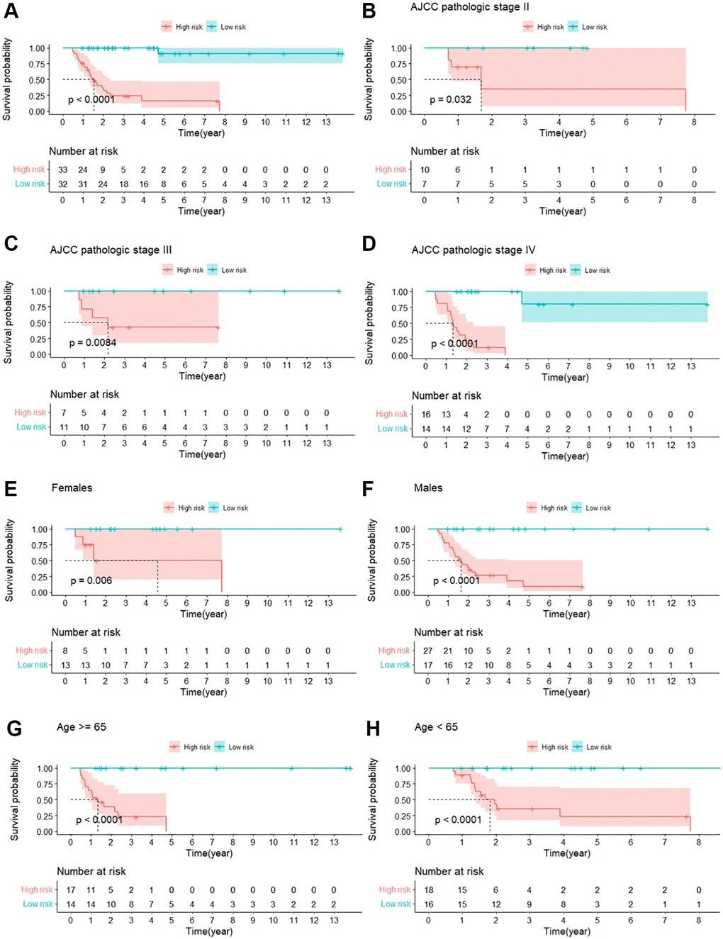 The Kaplan–Meier survival curve between the high-risk and low-risk groups of MIBC patients who received GC regimens. (A) Kaplan–Meier survival curve for the entire dataset; (B) Kaplan-Meier survival curve for AJCC pathology stage II; (C) Kaplan-Meier survival curve for AJCC pathology stage III; (D) Kaplan-Meier survival curve for AJCC pathology stage IV; (E) Kaplan-Meier survival curve for females; (F) Kaplan-Meier survival curve for males; (G) Kaplan-Meier survival curve for age ≥65; (H) Kaplan-Meier survival curve for age 