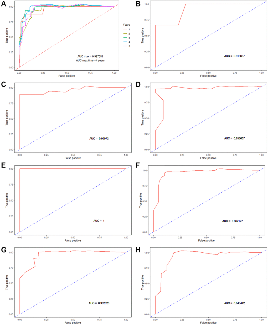 Time-dependent receiver operating characteristic curves (ROC) and area under the curve (AUC) for OS prediction. (A) Time-dependent ROC and AUC for the entire dataset; (B) Time-dependent ROC and AUC for AJCC pathology stage II; (C) Time-dependent ROC and AUC for AJCC pathology stage III; (D) Time-dependent ROC and AUC for AJCC pathology stage IV; (E) Time-dependent ROC and AUC for females; (F) Time-dependent ROC and AUC for males; (G) Time-dependent ROC and AUC for age ≥ 65; (H) Time-dependent ROC and AUC for age 