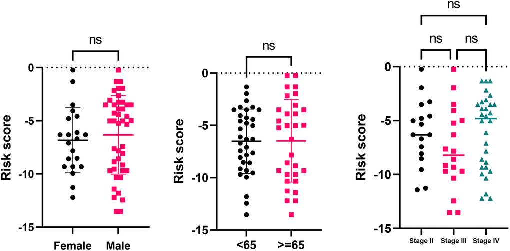 Risk score comparison in subsets of the clinical characteristics (gender, age at diagnosis, and AJCC pathological stage).