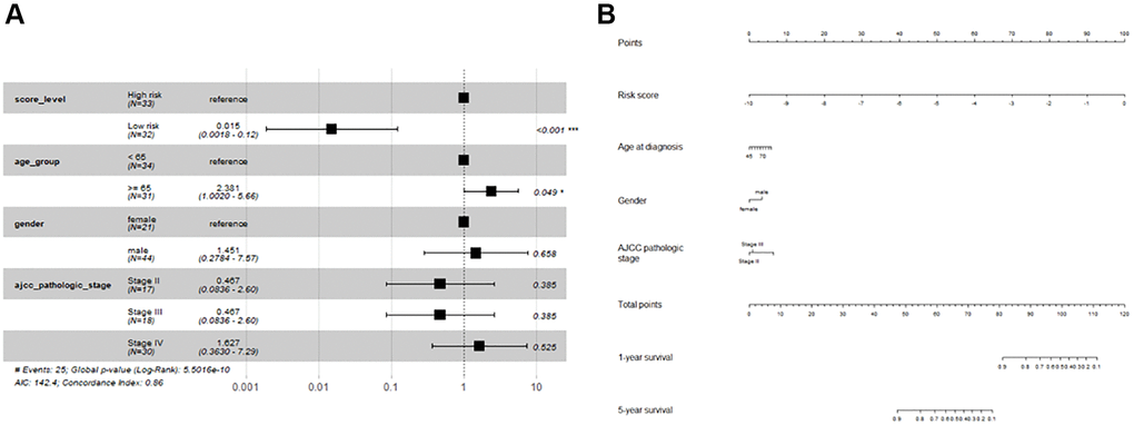 Forest plot and nomogram for multivariate Cox regression analysis. (A) Forest plot; (B) Nomogram.