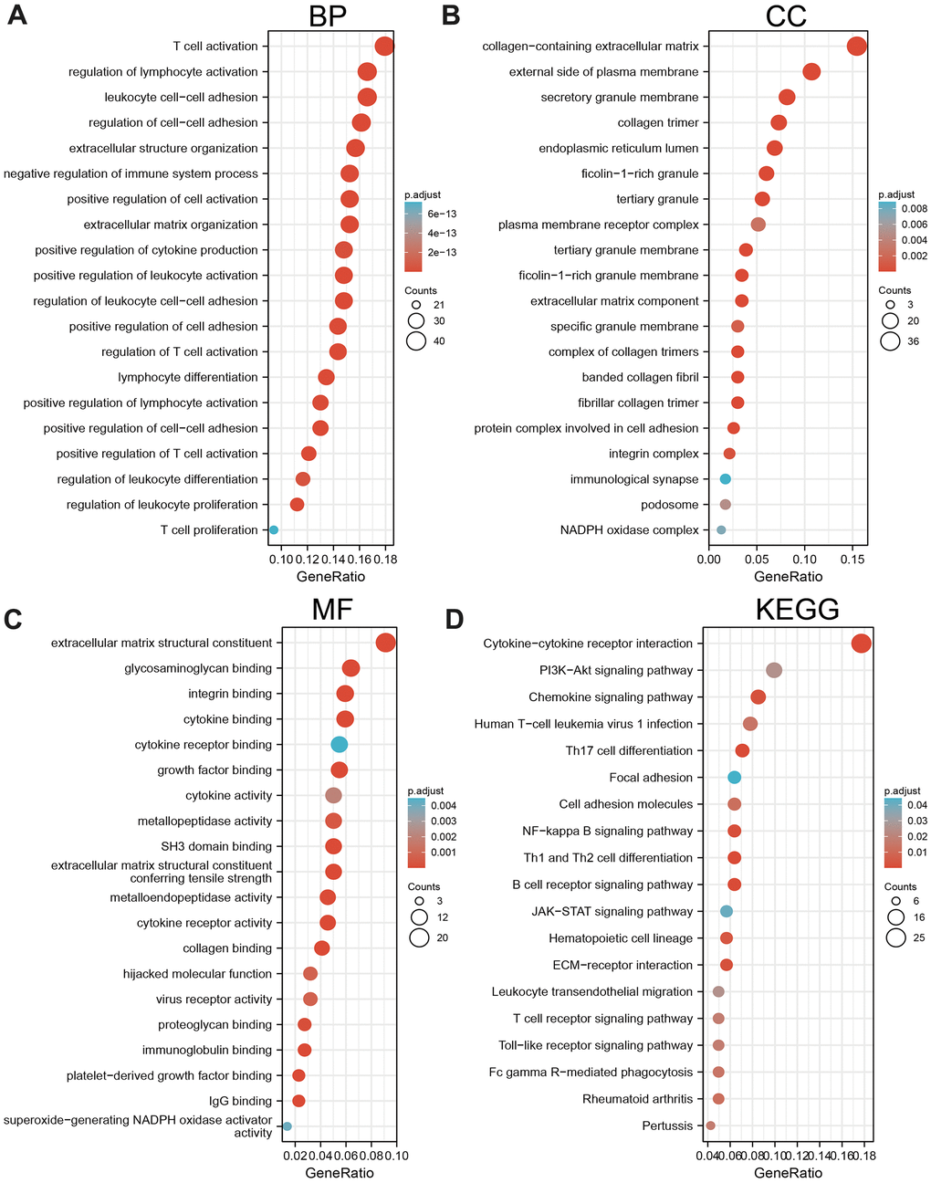 KEGG enrichment analysis. (A–C) GO analysis of the biological process of AC092718.4 in LUAD. (D) KEGG pathway study revealed that AC092718.4 was involved in the different signaling pathways.