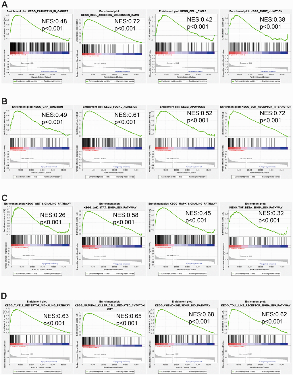 GSEA of AC092718.4 (A–D) The top GSEA results in pan-cancer. Normalized Enrichment Score (NES).