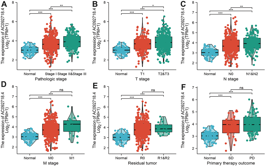 Correlation between AC092718.4 expression and various clinical features in LUAD. (A–F) Correlation between AC092718.4 expression and various clinical features, including pathological stage, TNM stage, residual tumor, and primary therapy outcomes.