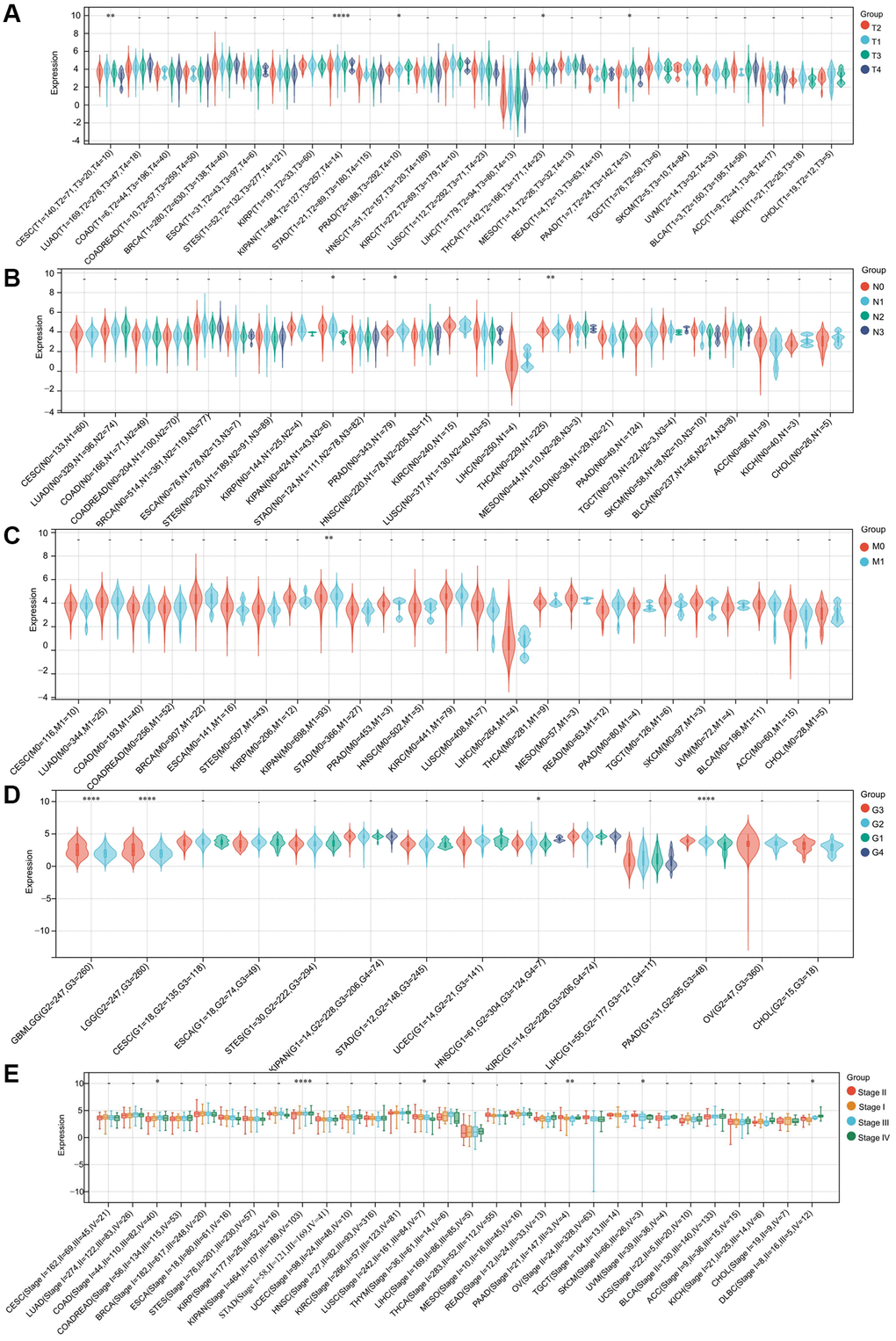 The correlation between RNF135 expression and clinical characteristics of pan-cancer. (A) The relationship between RNF135 expression and T stage. (B) The relationship between RNF135 expression and N stage. (C) The relationship between RNF135 expression and M stage. (D) The relationship between RNF135 expression and Grade. (E) The relationship between RNF135 expression and clinical stage. *P **P ***P 