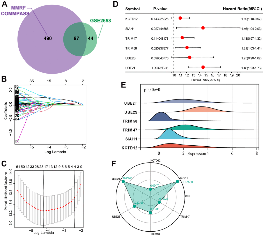 Selection of robust biomarkers to establish a prognostic UPS gene signature. (A) The 97 intersections of the OS related genes in MMRF-COMMPASS and GSE2658. (B) The LASSO coefficient profiles of the candidate OS-related UPS genes with nonzero coefficients. (C) A dotted vertical line represents the optimal value of the parameter (lambda) used in the LASSO model. (D) Multivariate Cox regression was used to establish the UPS gene signature, and six genes were finally selected as predictors of OS. (E) The mRNA levels of the 6 identified genes in training set (MMRF-COMMPASS). (F) Coefficient distribution of the gene signature.