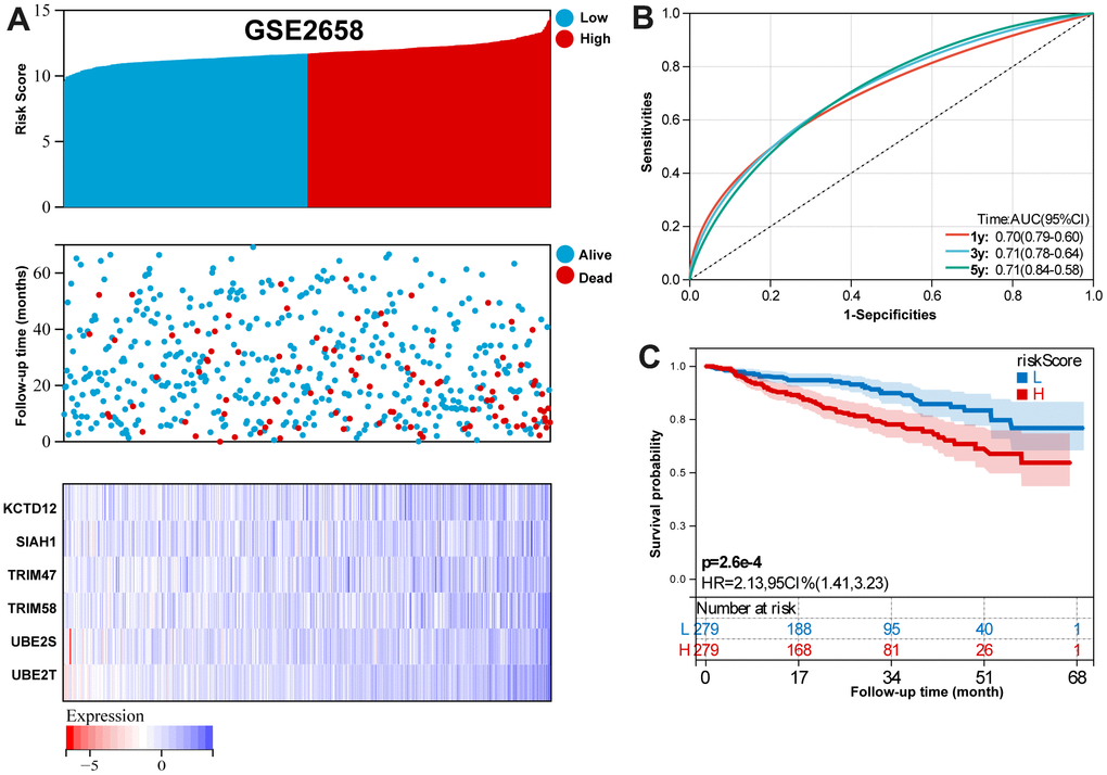 Validation the reliability of the risk signature in the validation set (GSE2658). (A) summarizes the distribution of risk scores, the survival status of patients, and the expression of UPS genes in the training set. (B) A time-dependent ROC analysis for 1-, 3-, and 5-years OS prediction. (C) Survival analysis between low-risk and high-risk MM patients.