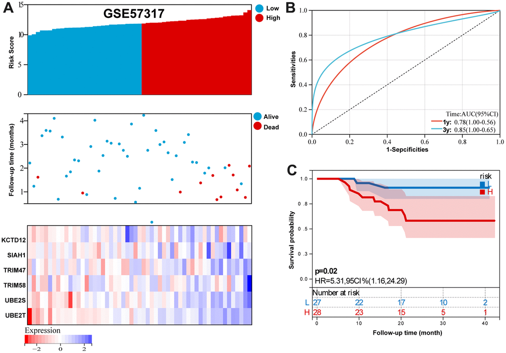 Validation the reliability of the risk signature in the validation set (GSE57317). (A) summarizes the distribution of risk scores, the survival status of patients, and the expression of UPS genes in the training set. (B) A time-dependent ROC analysis for 1- and 3-years OS prediction. (C) Survival analysis between low-risk and high-risk MM patients.