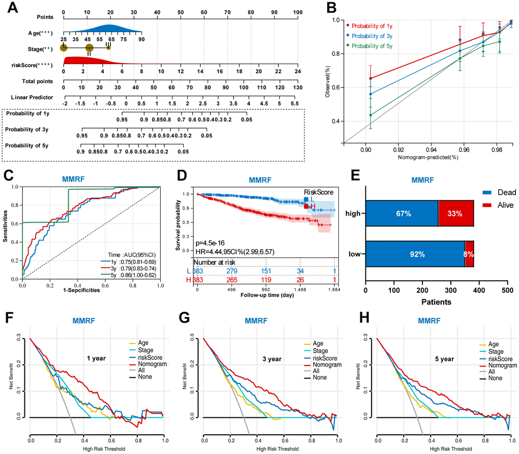 Construction of a prognostic nomogram in the training set based on the independent risk factors. (A) Nomogram based on the age, stage, and UPS signature. (B) Calibration plot of the nomogram for the prediction of OS. (C) A time-dependent ROC analysis for 1-, 3-, and 5-years OS prediction. (D) Survival analysis between low-risk and high-risk MM patients. (E) The relative proportion of alive and death cases between two groups. (F) DCA of the nomogram for the prediction of 1-year OS. (G) DCA of the nomogram for the prediction of 3-year OS. (H) DCA of the nomogram for the prediction of 5-year OS.