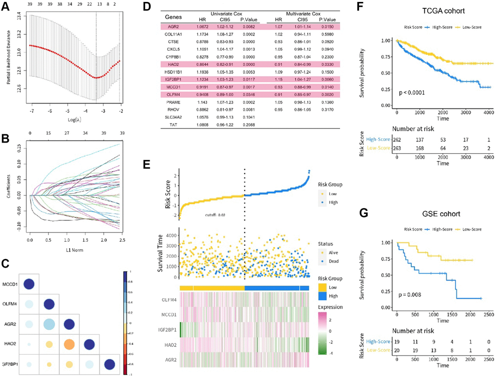 (A, B) The lasso regression analysis; (C) The correlation of 5 key genes; (D) The univariate and multivariate COX regression analysis; (E) The risk score distribution in the training set; (F) The KM analysis in the TCGA cohort; (G) The KM analysis in the GSE cohort.