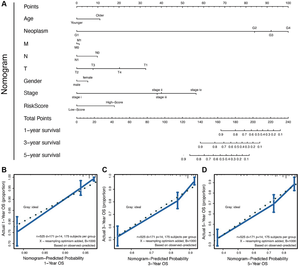 (A) The nomogram for all the clinical features; (B–D) The nomogram to predict probability 1-/3-/5- year OS.