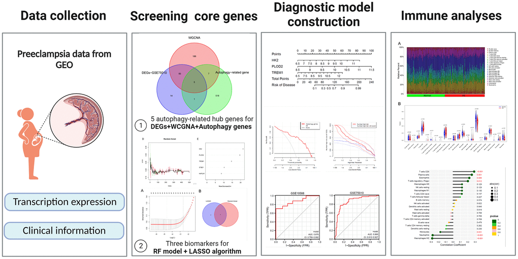 General overview of the study.