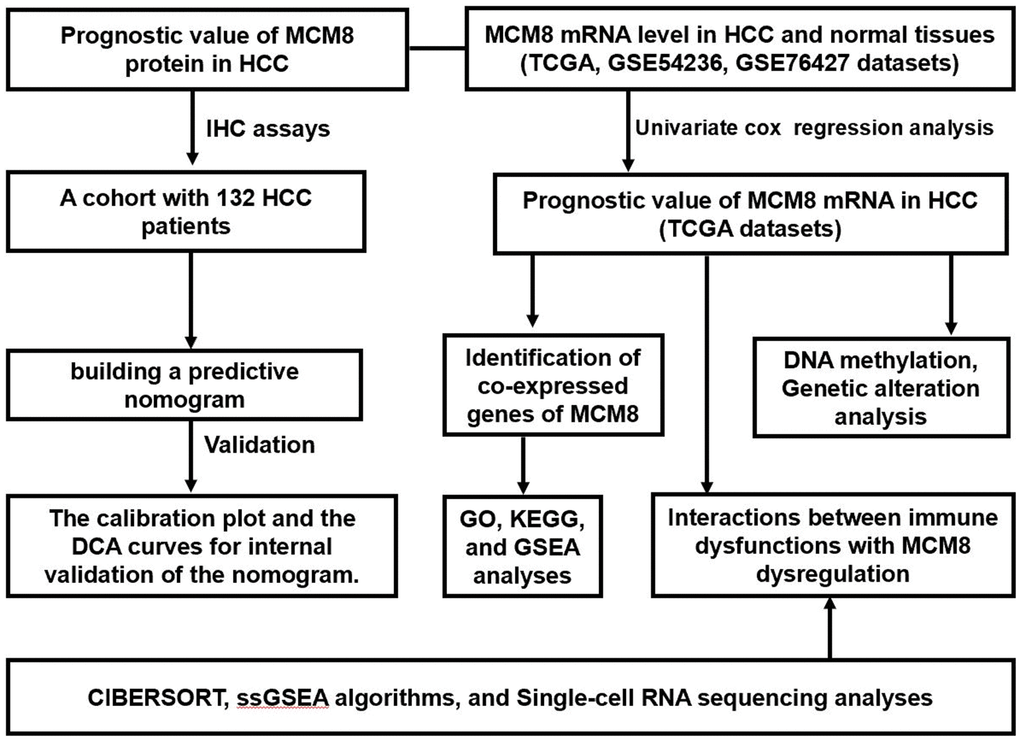 The flow chart presented the overview of the steps in our study.