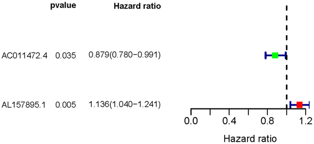 The forest plot of sSRLNRs. The forest map showed the hazard ratios of AC011472.4 and AL157895.1. The green color represents the positive correlation with BCa patients’ prognoses, while the red color represents the opposite relation.