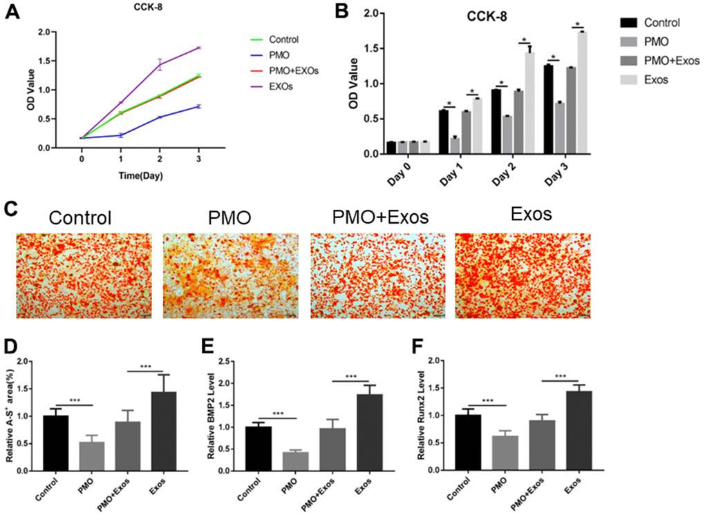 (A) CCK-8 was used to detect the proliferation rates of BMSCs extracted from PMO mice. (B) The CCK-8 results were calculated using SPSS software, and significant differences are labeled. (C) Alizarin red assay was performed to evaluate the effect of osteogenesis. (D) The results of alizarin red staining were calculated using ImageJ software. (E) qPCR was performed to detect the expression of BMP2. (F) qPCR was performed to detect the expression of RunX2.