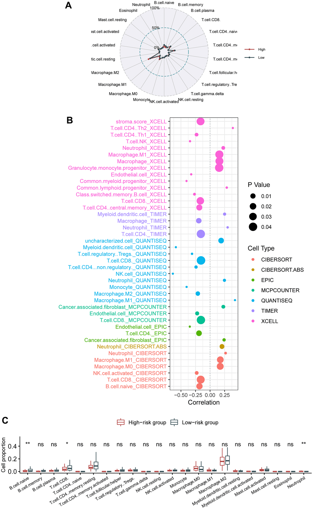 Association of the circadian clock-related gene signature with intra-tumor immune infiltrates. (A) Radar plot showed no apparent switch between the low- and the high-risk cohorts. (B) Bubble chart revealed that CD8 T cell and B cell were critically negatively correlated with the hazard. (C) Box plot demonstrated that CD8 T cell, B cell, and neutrophils were significantly switched between the high-risk patients than in the low-risk patients.