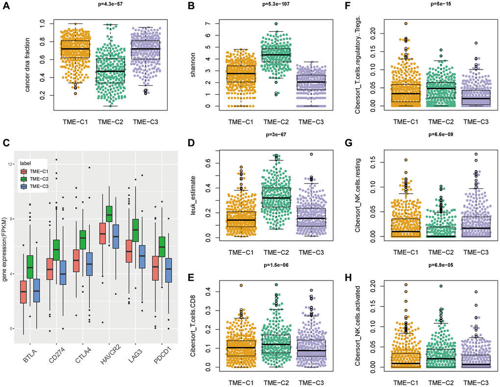 TME-C2 subtype was associated with tumor immunity. (A, B) The cancer DNA fraction and Shannon score across three TME subtypes. (C) The expression of current approved and potential immunotherapy targets (PDCD1, CD274, CTLA4, HAVCR2, LAG3 and BTLA) across three TME subtypes. (D–H) The immune cell infiltration fraction (leukocyte, CD8 T cell, regulatory T cell, resting NK cell, and activated NK cell) across three TME subtypes.