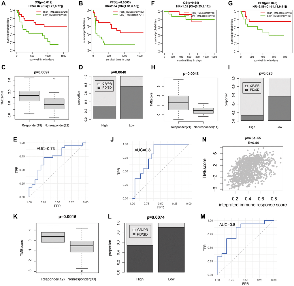 TMEscore was a prognostic and immunotherapeutic biomarker in Gide, Kim and TCGA GIAC cohort. (A–C) The survival time (OS and PFS) and response rate of patients with high/low TMEscore for 41 patients treated with PD1+CTLA4 inhibitor in Gide cohort. (D) The TMEscore of patients with different response status for patients treated with PD1+CTLA4 inhibitor. (E) The ROC curve of TMEscore predicting immunotherapeutic response for patients treated with PD1+CTLA4 inhibitor. (F–H) The survival time (OS and PFS) and response rate of patients with high/low TMEscore for 32 patients treated with PD1 inhibitor in Gide cohort. (I) The TMEscore of patients with different response status for patients treated with PD1 inhibitor. (J) The ROC curve of TMEscore predicting immunotherapeutic response for patients treated with PD1 inhibitor. (K) The response rate of patients with high/low TMEscore for 45 gastric cancer patients treated with PD1 inhibitor in Kim cohort. (L) The TMEscore of patients with different response status for patients treated with PD1 inhibitor. (M) The ROC curve of TMEscore predicting immunotherapeutic response for patients treated with PD1 inhibitor. (N) The correlation plot of TMEscore with integrated immune response score in TCGA GIAC cohort.