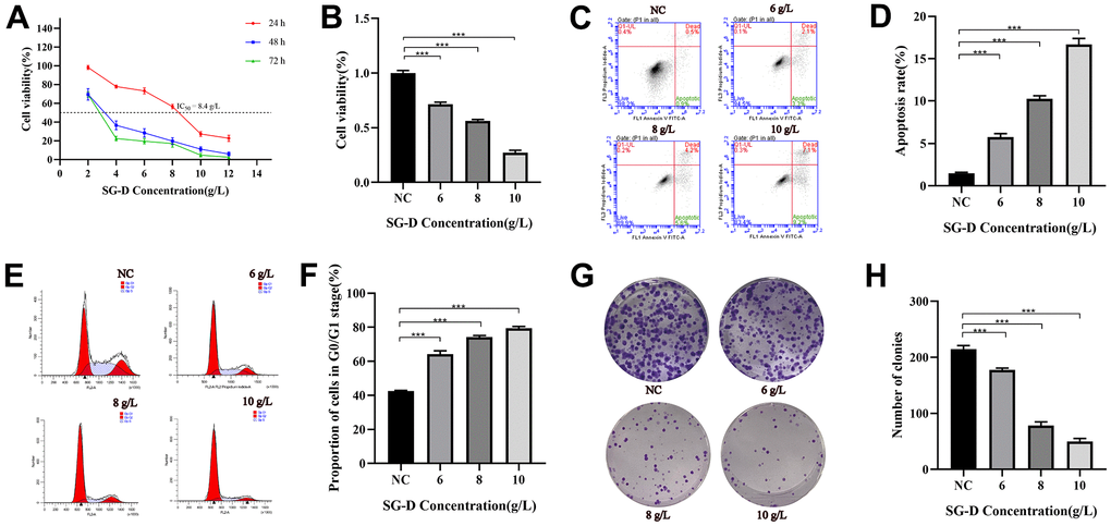 The effect of SG-D on the phenotype of AGS cells. (A) The impact of SG-D on the viability of AGS cells 24, 48, and 72 hours after treatment. (B) The impact of different SG-D concentrations (6, 8, and 10 g/L) on the viability of AGS cells. (C, D) Apoptosis rate. (E, F) Cell cycle distribution. (G, H) The quantity of generated cell clones. All experiments were repeated three times and the data were expressed as mean±SD, *p p p 