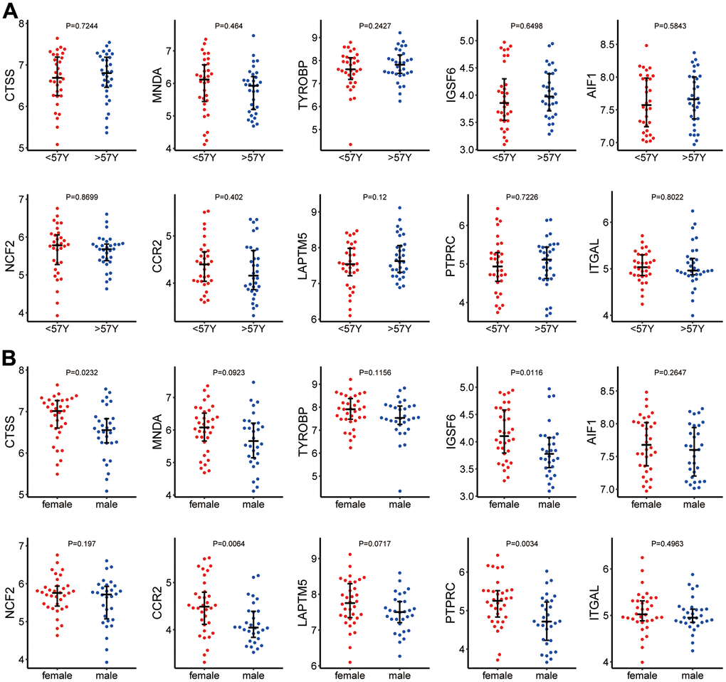 (A) Hub gene expression in different age groups. (B) Hub gene expression in different sexes.