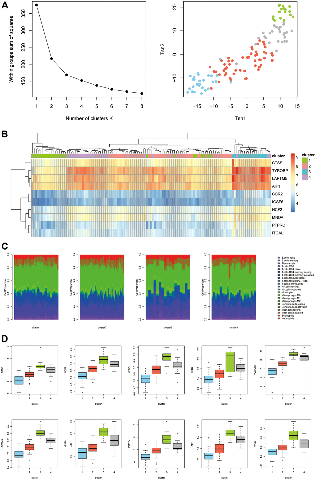 (A) K-means clustering classification. (B) Expression levels of different types of hub genes. (C) Differences in immune infiltration between different types. (D) Expression levels of hub genes in different types.