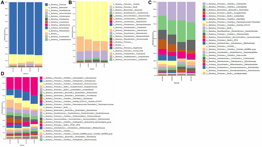 Taxonomic composition of gut microbial communities. Composition of gut microbial communities of the Tgf344-AD and WT control rats, visualized at different levels of classification: (A) Phylum, (B) Class, (C) Order, (D) Family.
