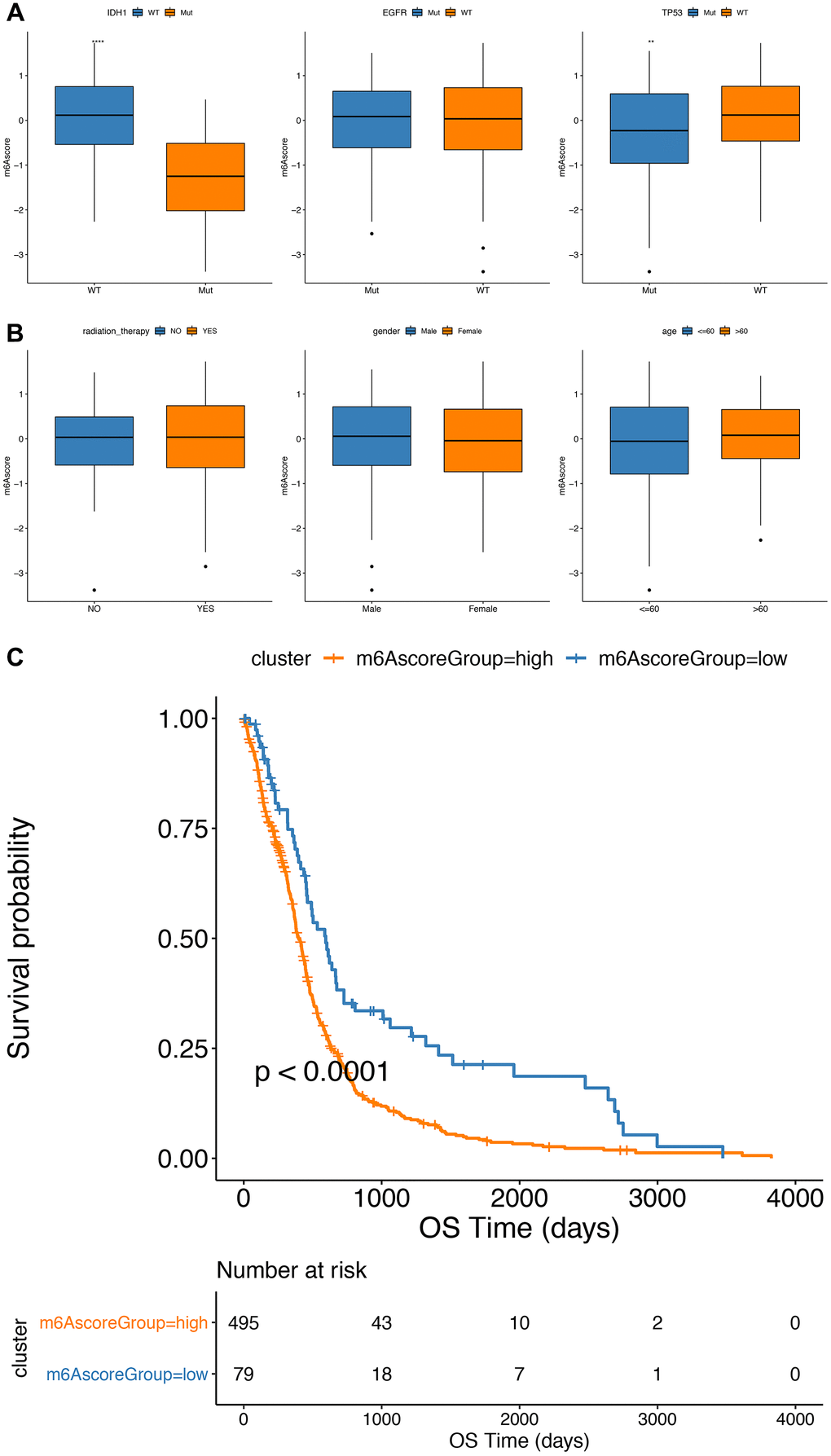 Comparative analysis and model verification of m6Ascore in TCGA dataset. (A, B) The distribution of m6Ascore in different subgroups; (C) there was significant difference in survival between m6Ascorehigh group and m6Ascorelow group in TCGA samples.