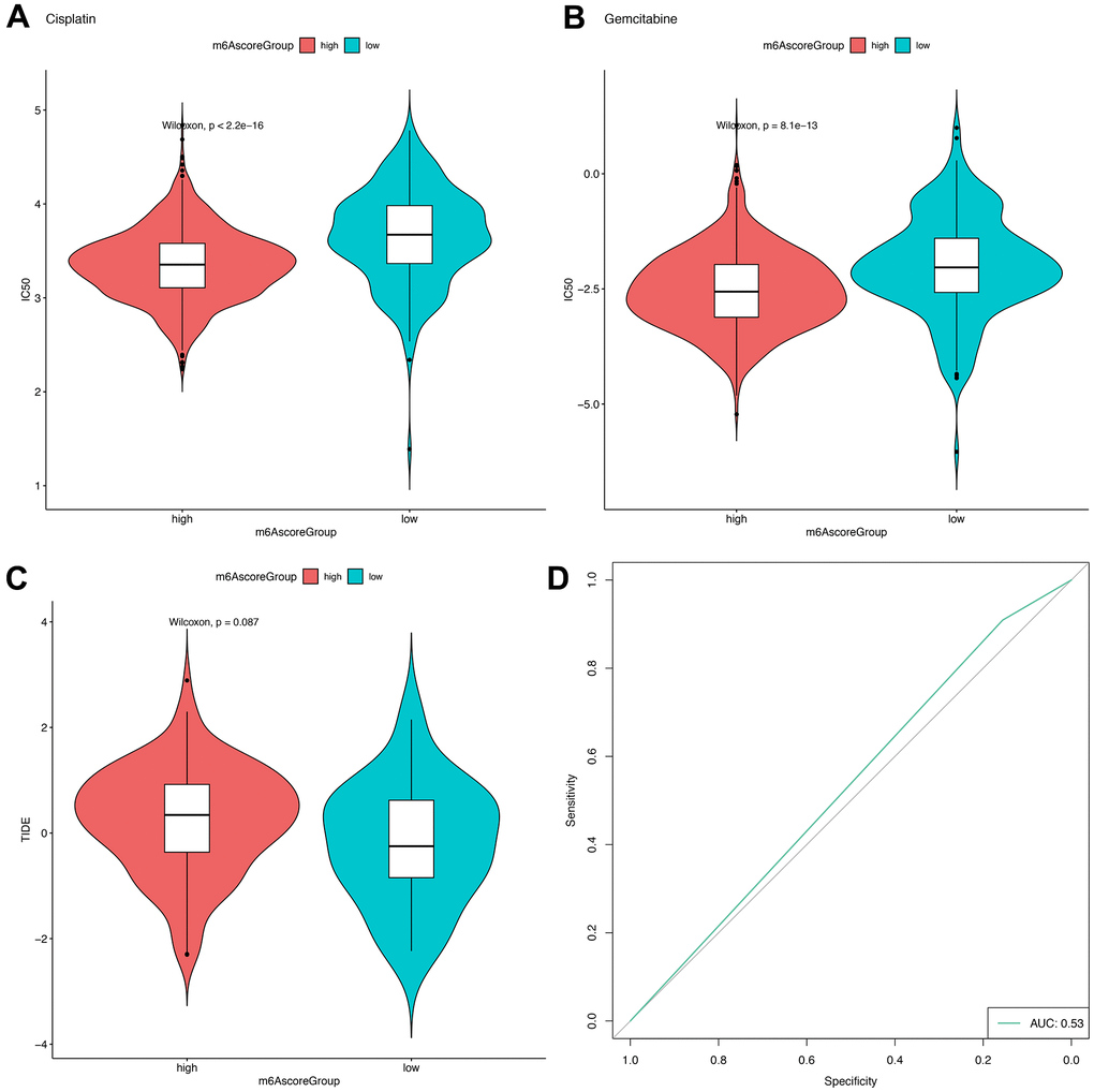 m6Ascore provided predictive outcomes for GBM patients receiving immunotherapies. (A, B) The difference between the IC50 values of Cisplatin and Gemcitabine in the samples of the high-risk group and the low-risk group; (C) The difference of TIDE score between samples of high-risk group and low-risk group; (D) Prediction of immunotherapy response results by using high and low groups of m6Ascore.